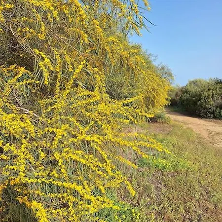 בית נופש Sant'elmo Vista Mare 200m Dalla קסטיאדס